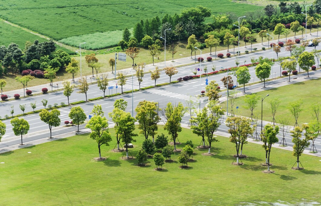 road-with-trees-around_1127-2249